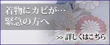 着物にカビが…緊急の方へ 詳しくはこちら